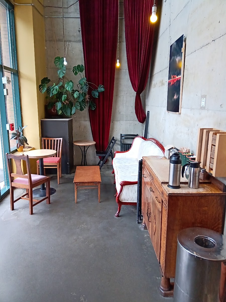 Java Cat Cafe Vancouver Photos 2